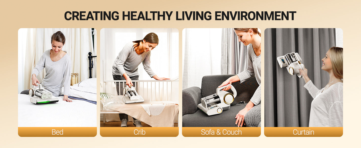 Whole-Home Clean